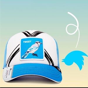 Goorin Bros TWEET Hat